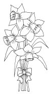 daffodils005 - Copy