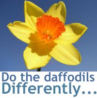 daffodilsdifferentl