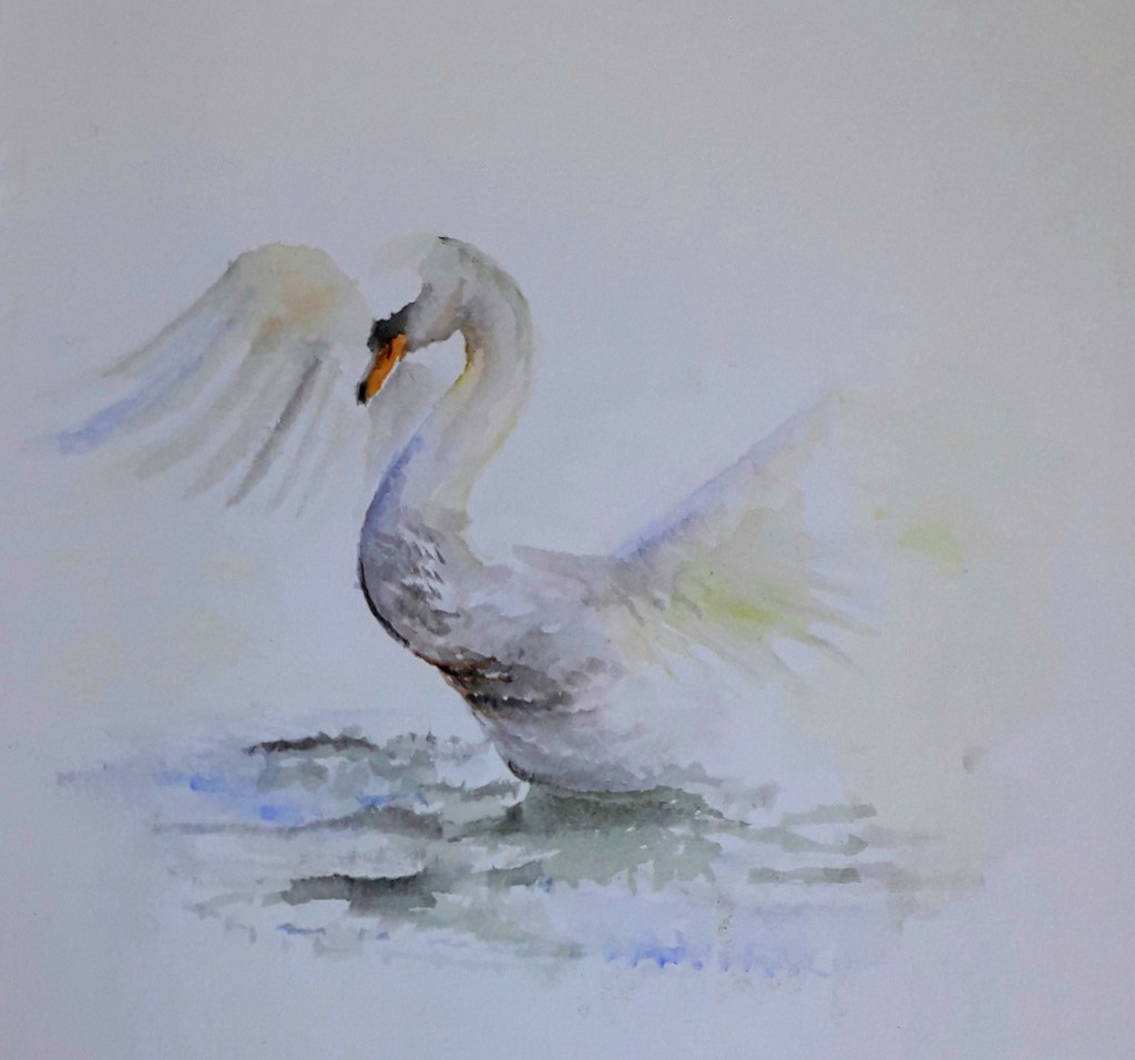A watercolour painting of a swan